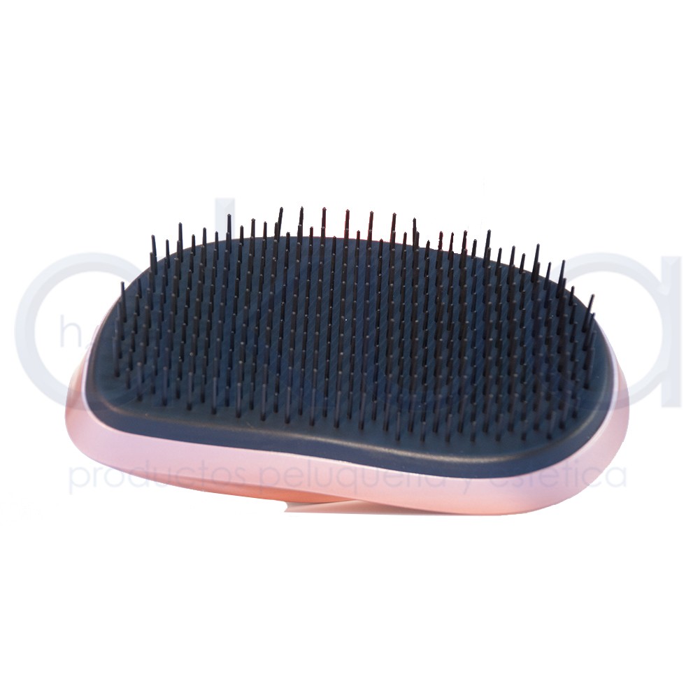 Cepillo Profesional Perfect Brush