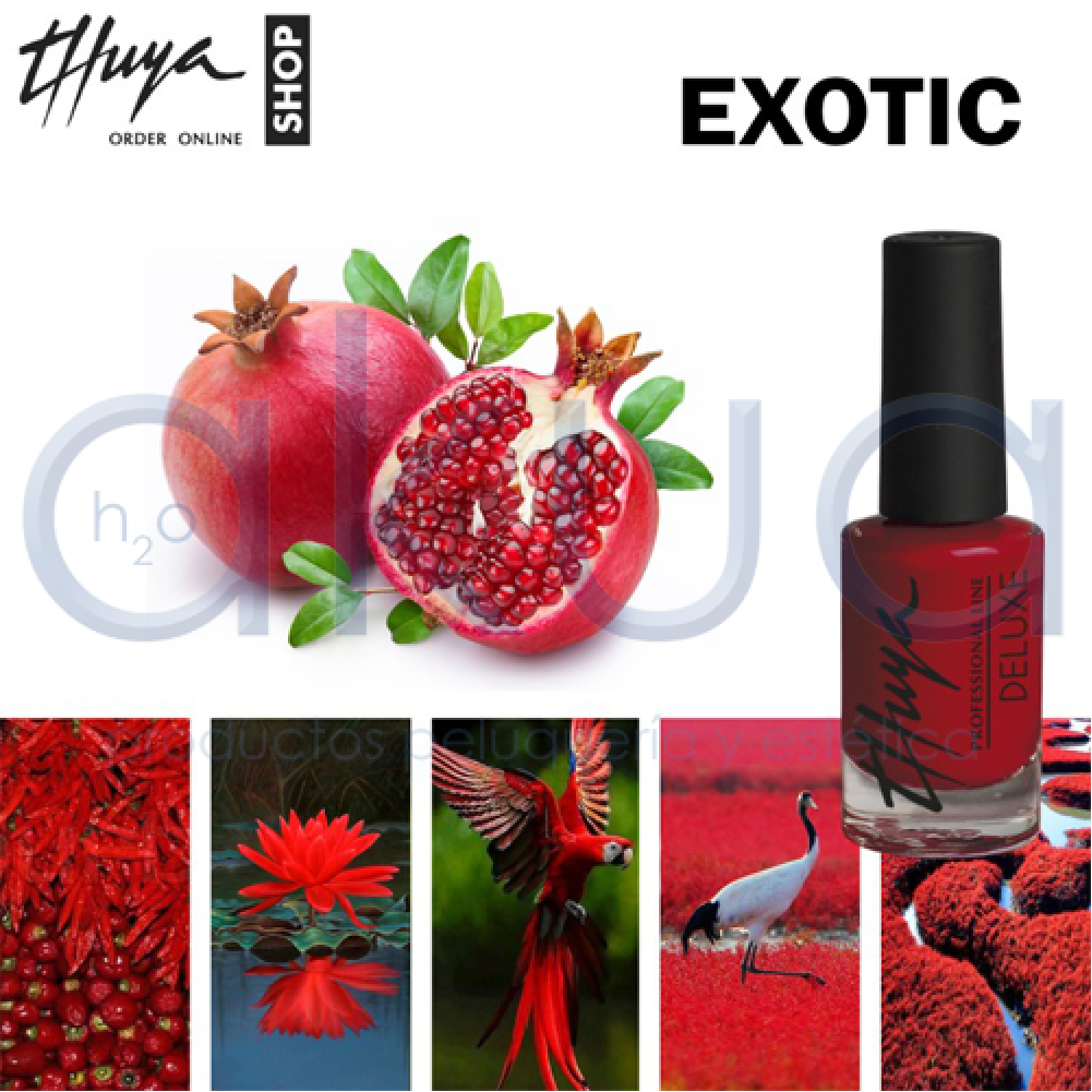 Kit Esmaltes Deluxe Rojos B Thuya