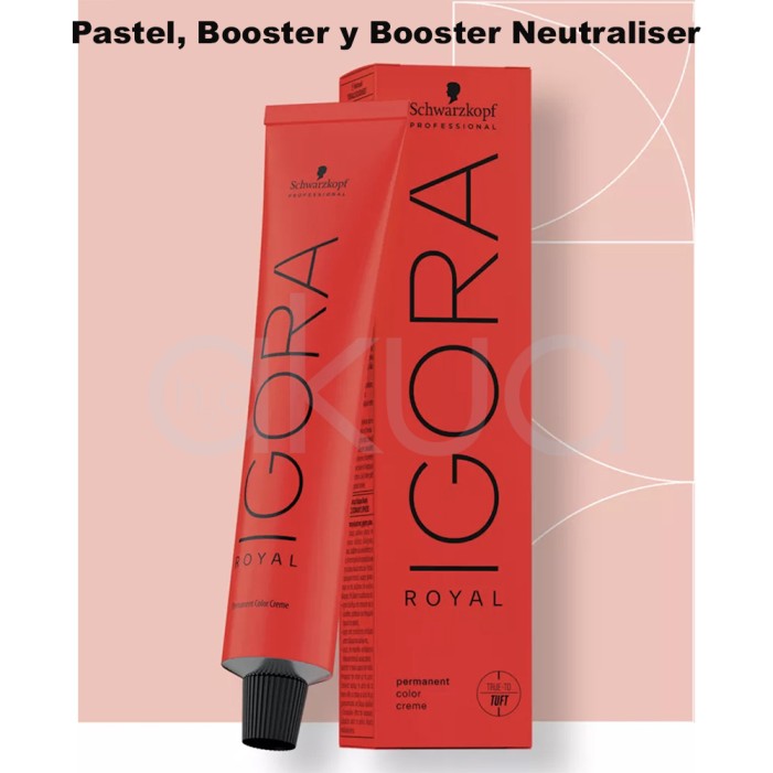 Tinte Igora Royal Pastel y Booster 60 ml Schwarzkopf